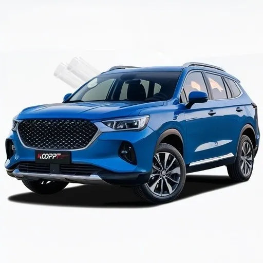 TPH Paint Protection Film Dwarf 2 Years Warranty