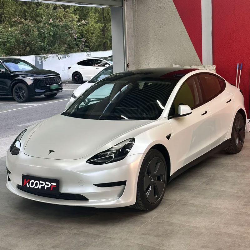 Color Paint Protection Film Frozen Gray Lily