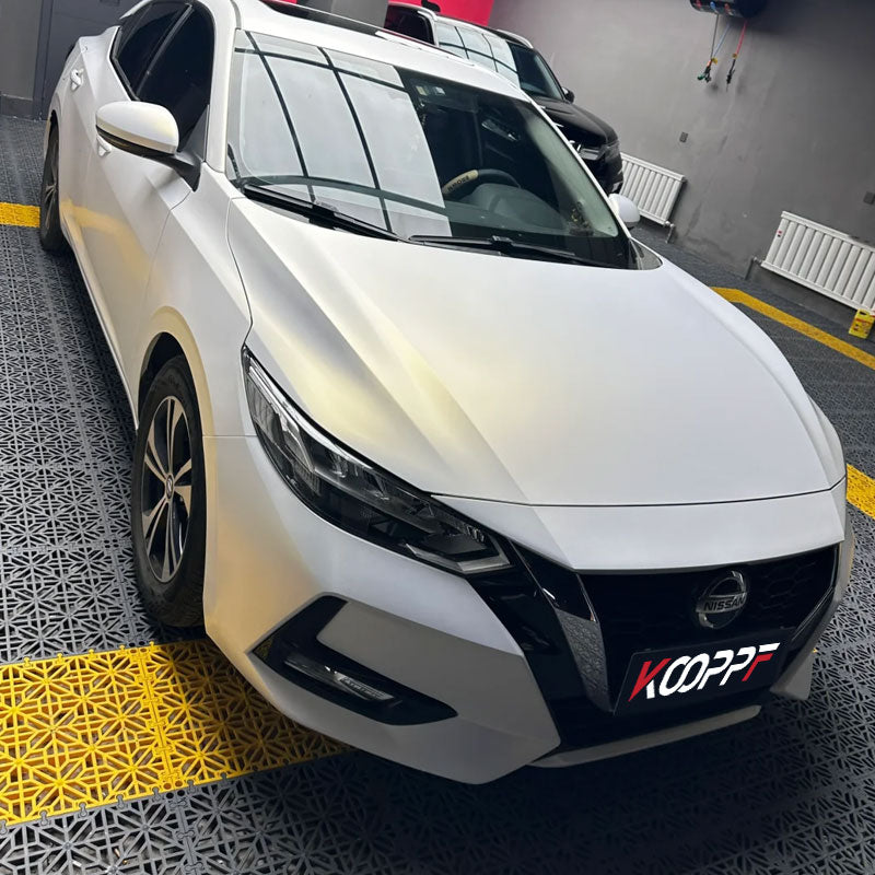 Color Paint Protection Film Frozen Gray Lily