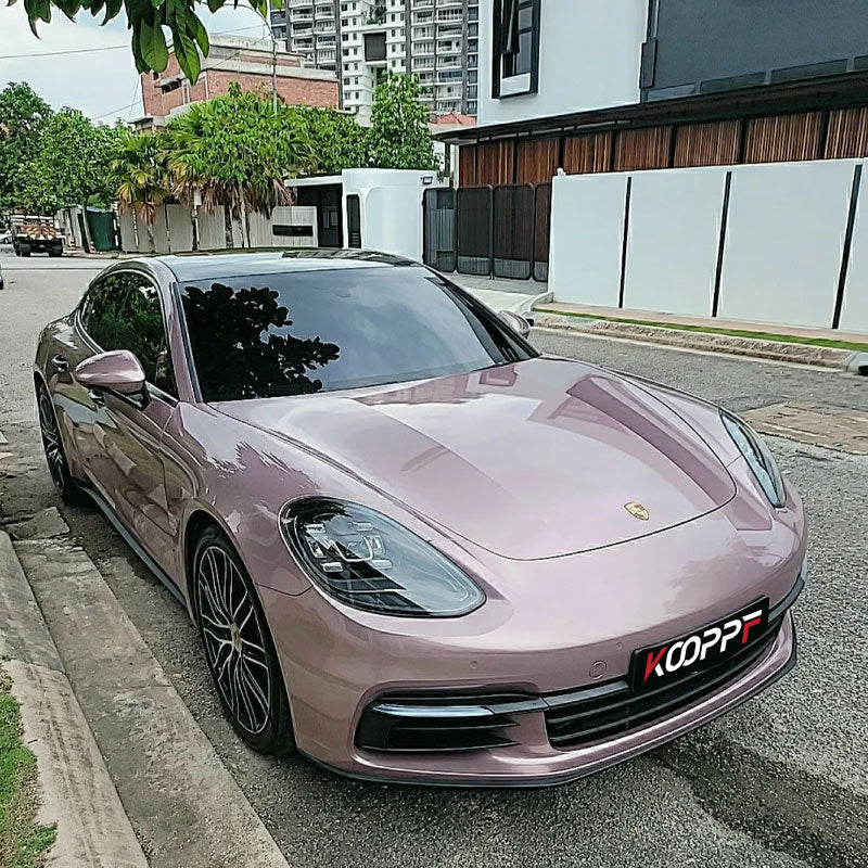 Color Paint Protection Film Frozen Berry